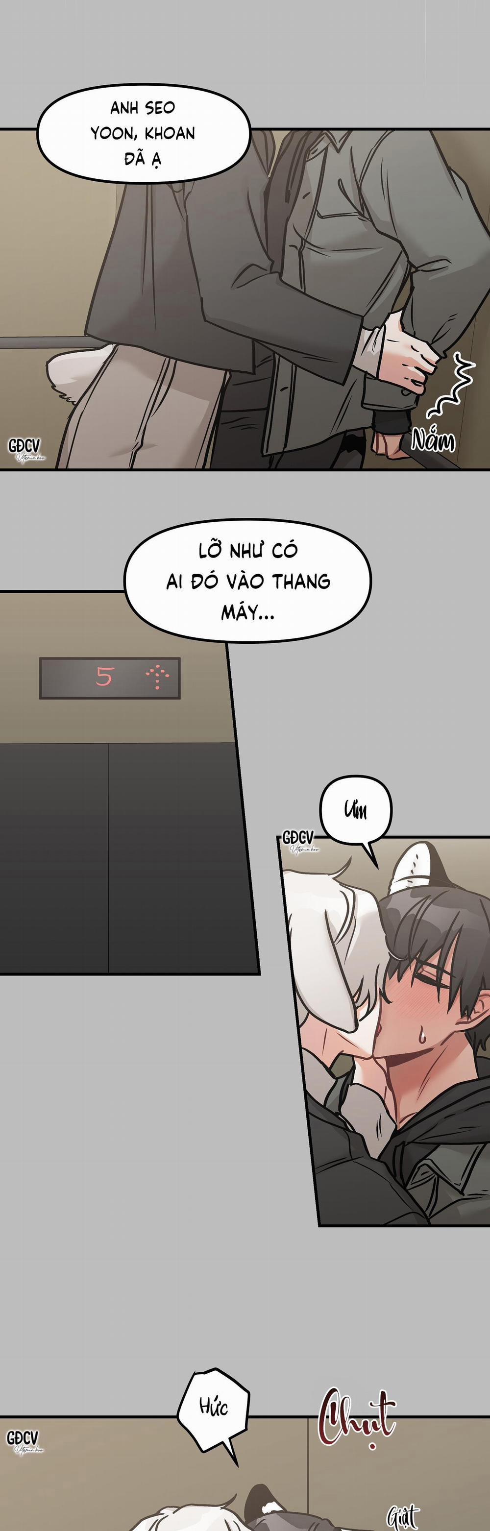 Thưa Ngài Hổ, Tôi Đã Ăn Rất Ngon Miệng 7 trang 11