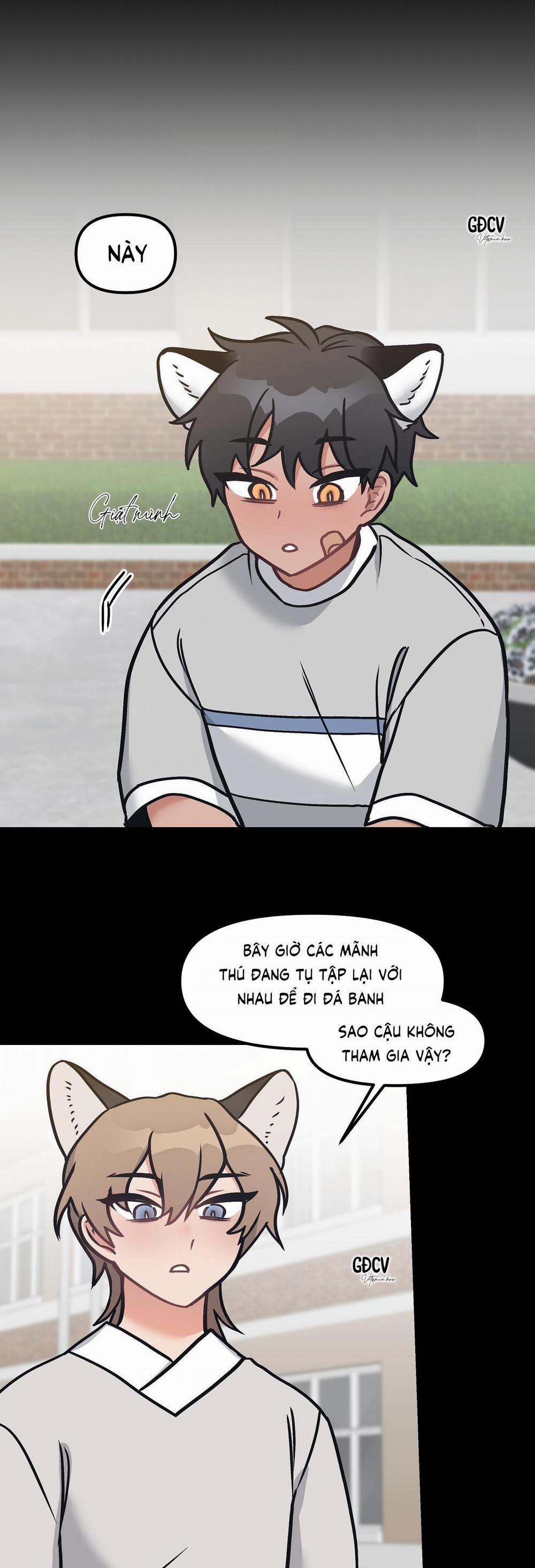 Thưa Ngài Hổ, Tôi Đã Ăn Rất Ngon Miệng 8 trang 20