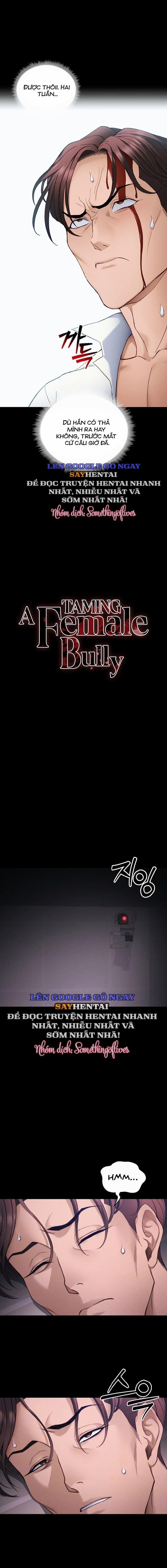 Thuần Phục Kẻ Bắt Nạt 38 trang 1