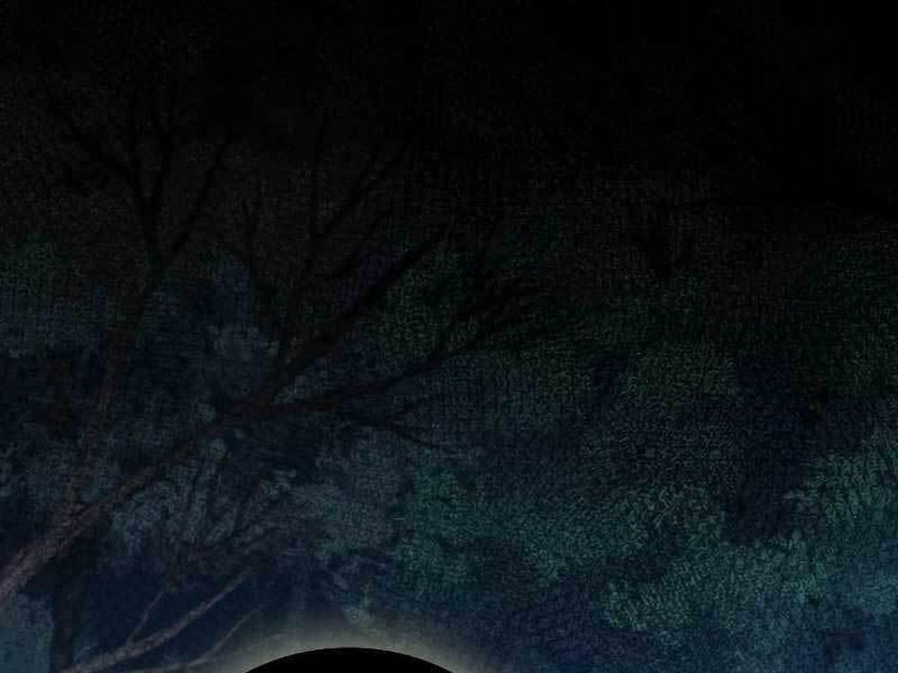 Thực Long Ma Pháp Sư 24 trang 50