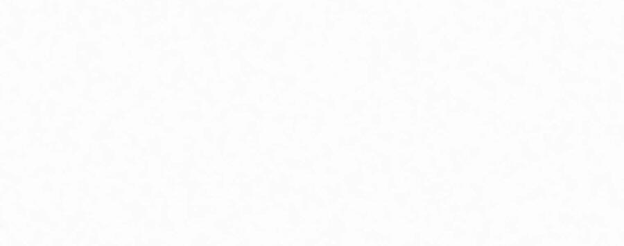 Thực Thư Pháp Sư 55.5 trang 133