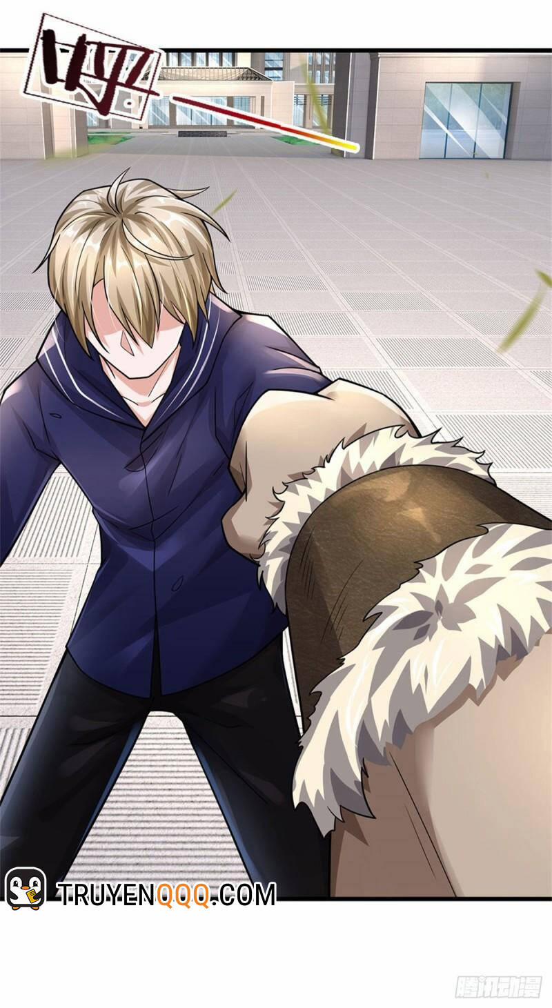 Thuộc Tính Của Ta Đều Thêm Sức Mạnh 66 trang 27