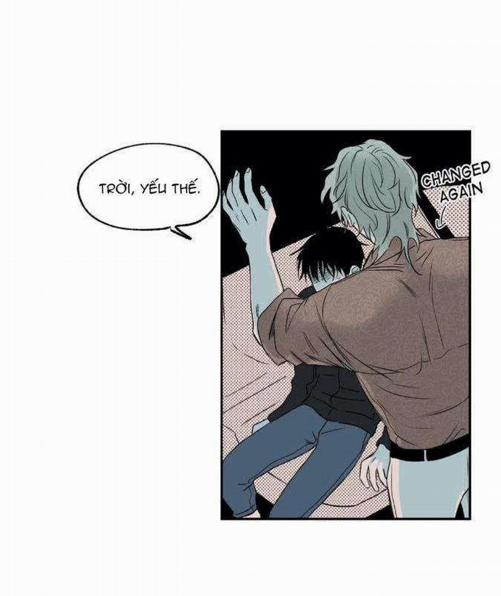 Thủy Triều Thấp Lúc Chạng Vạng 3 trang 5