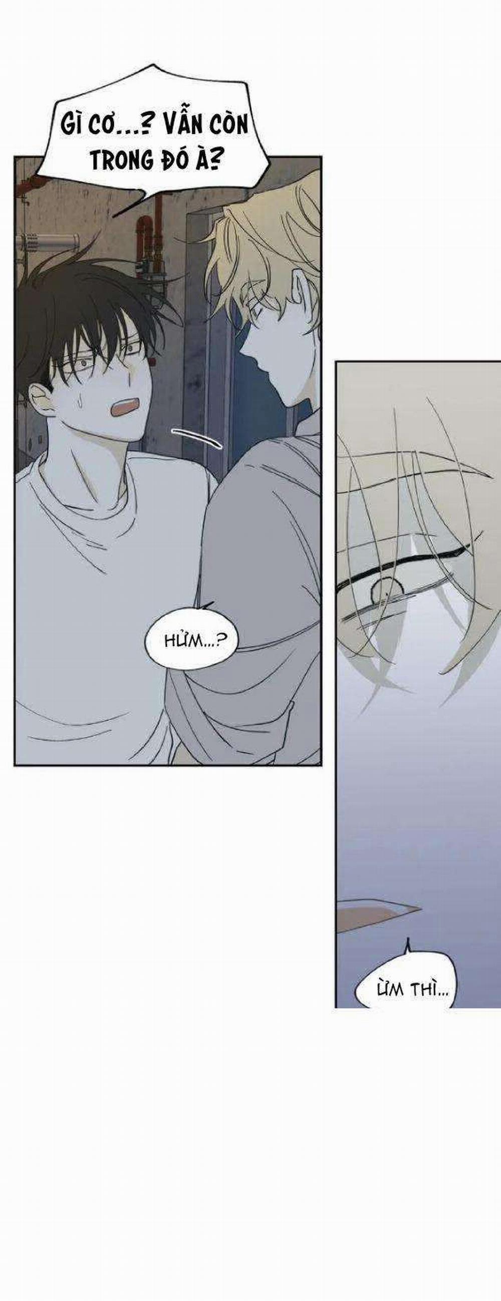 Thủy Triều Thấp Lúc Chạng Vạng 7 trang 15