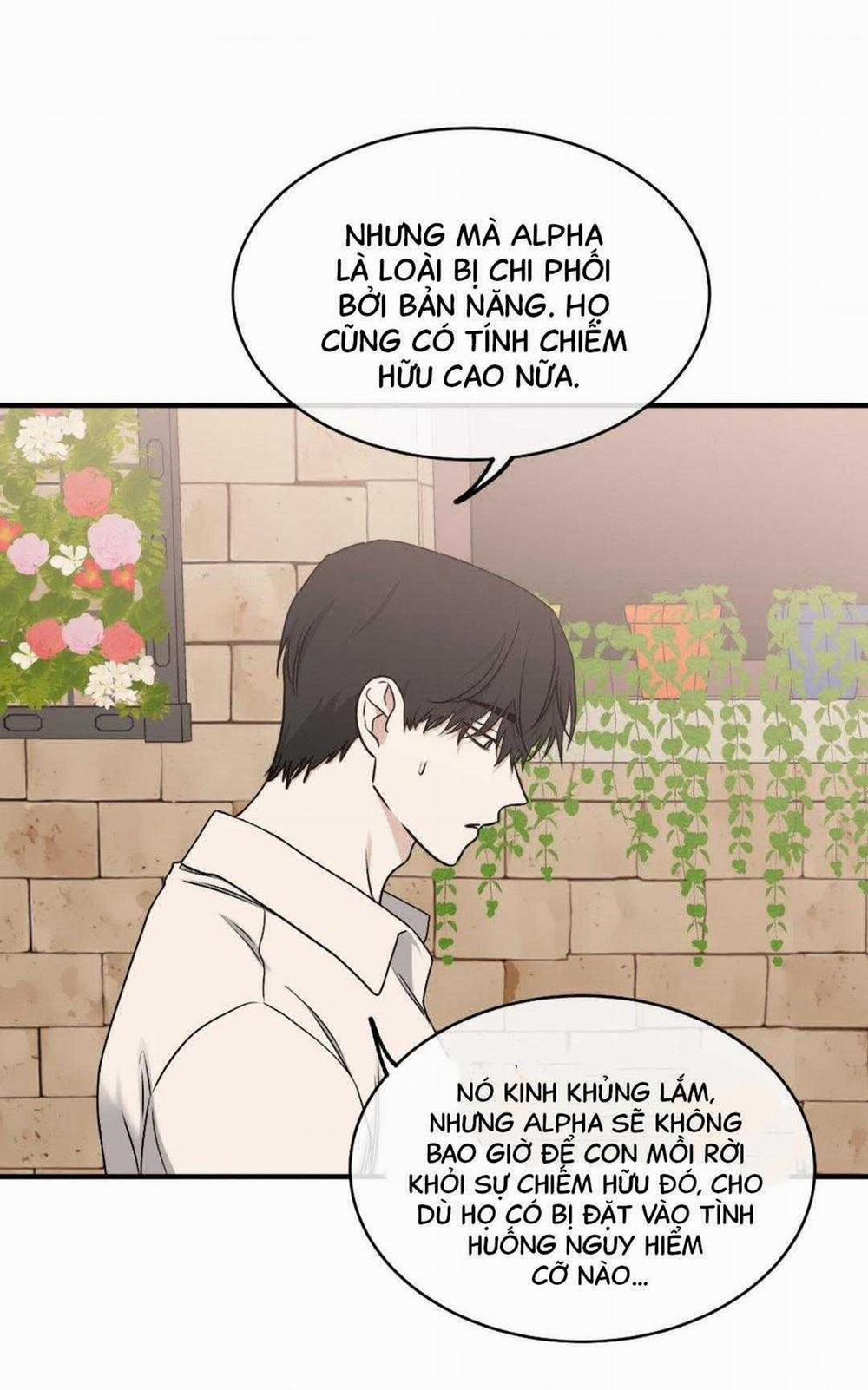 Thủy Triều Thấp Lúc Chạng Vạng 98 trang 41