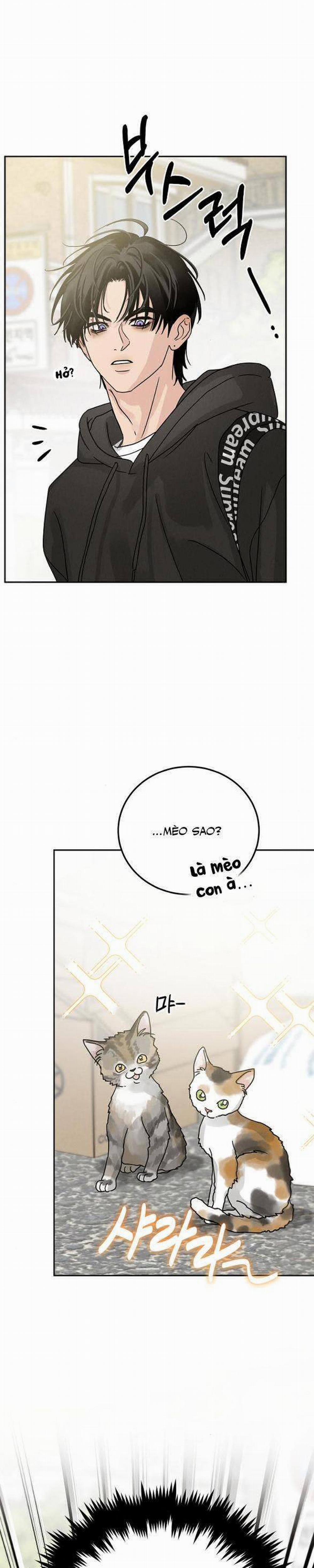 Thuyết Tình Yêu Ích Kỷ 3 trang 15