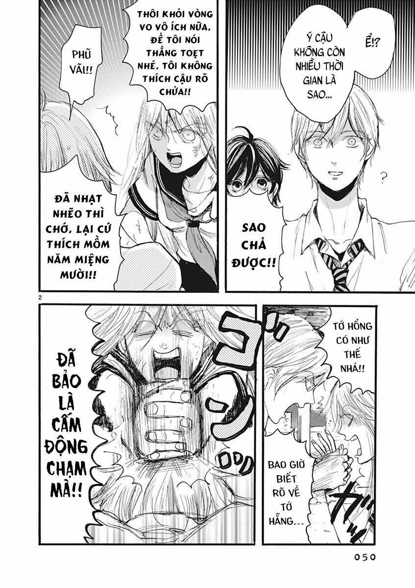 Tia Sáng Xinh Đẹp 19 trang 3