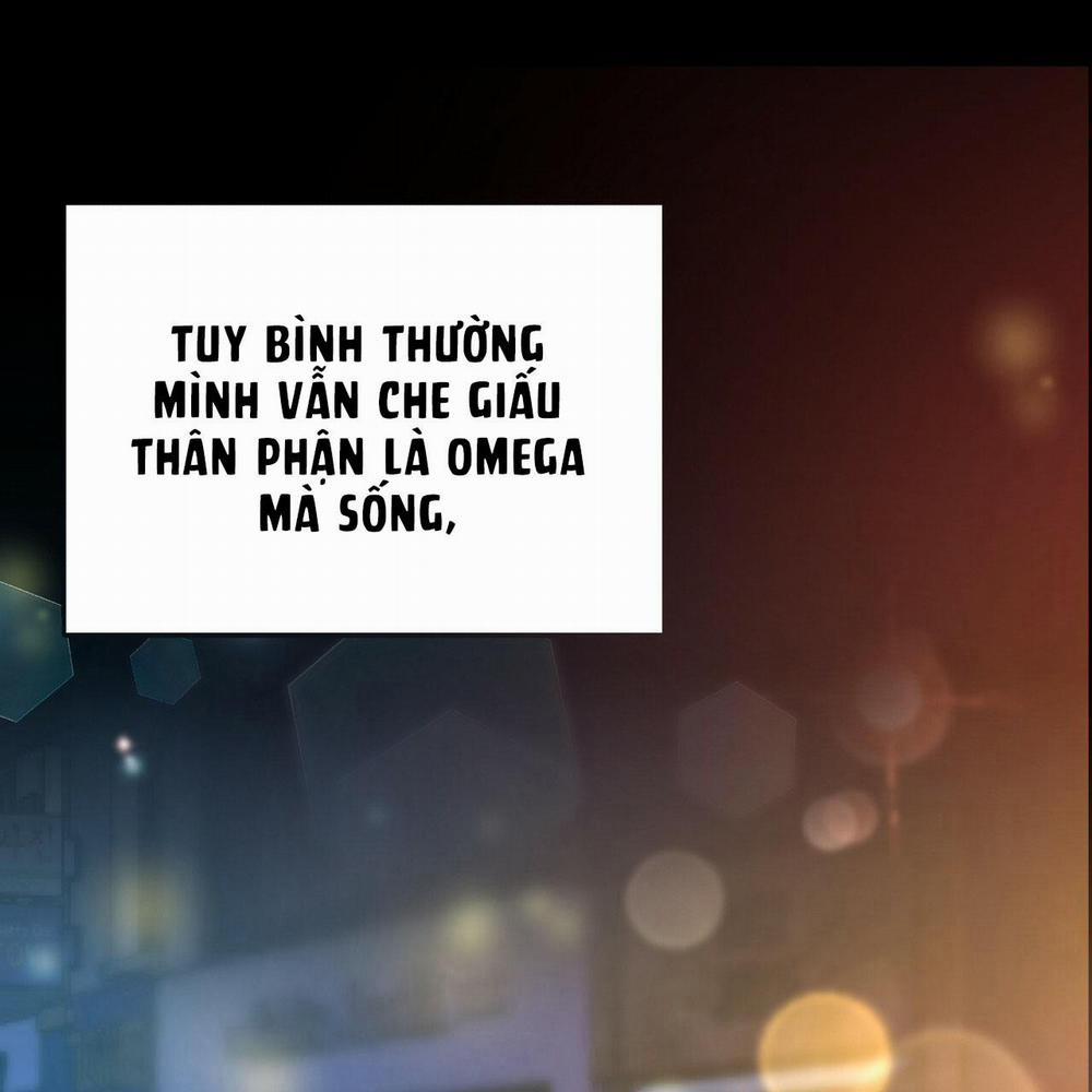 TIỀN BỐI, ANH LÀ OMEGA SAO!? 5 trang 148