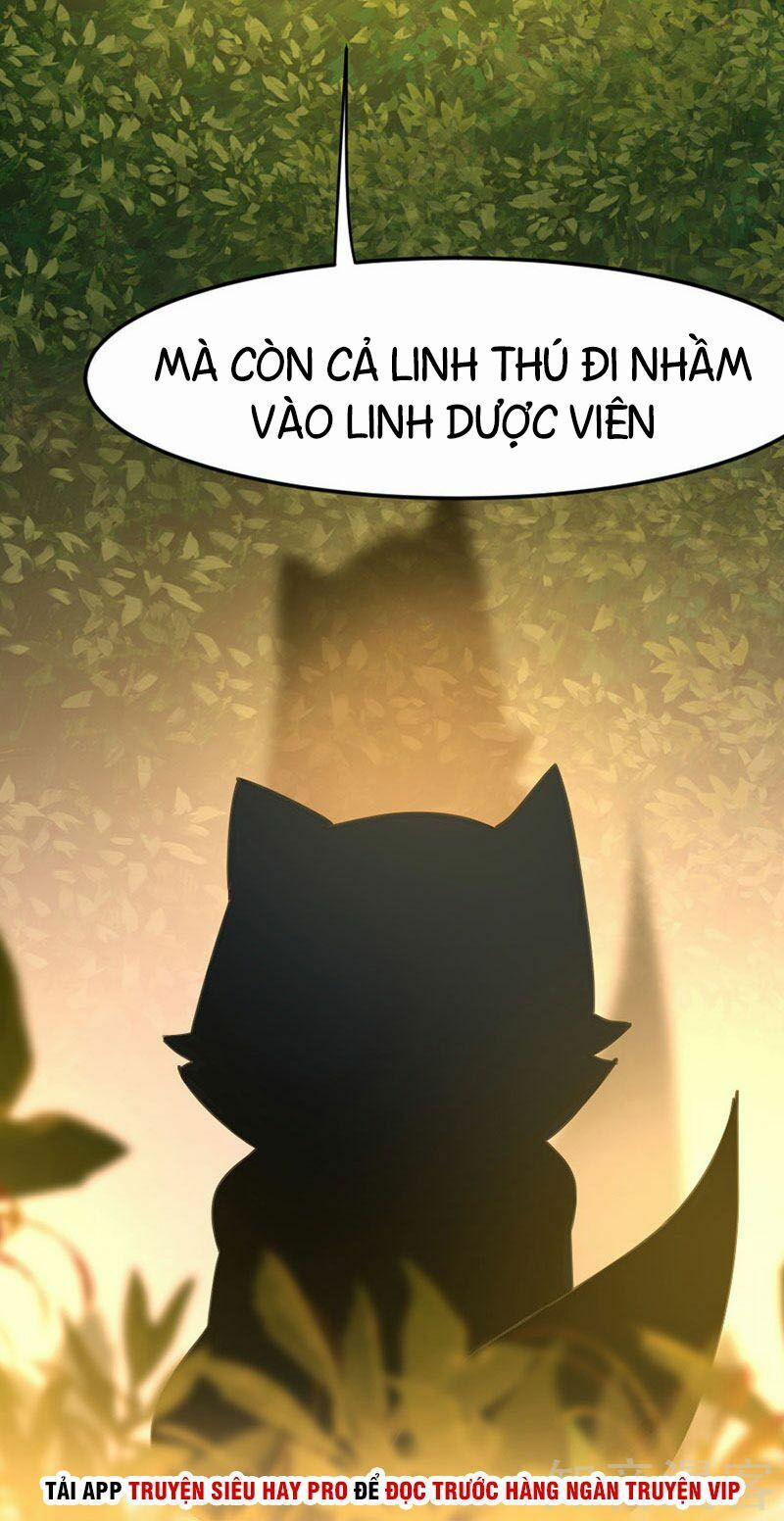 Tiên Đế Qui Lai 33 trang 11