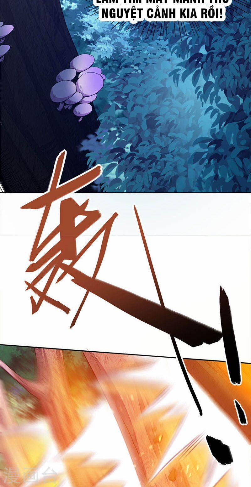 Tiên Đế Qui Lai 46 trang 11