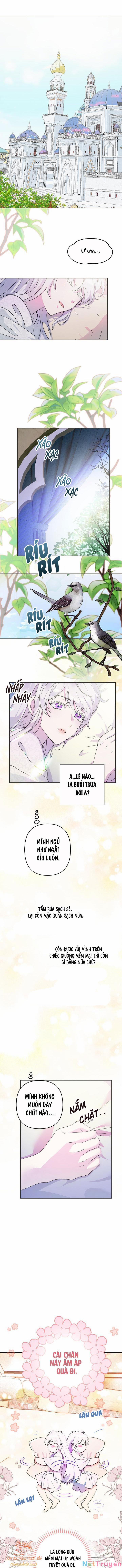 Tiền Là Tất Cả Chồng Là Phù Du 16 trang 3