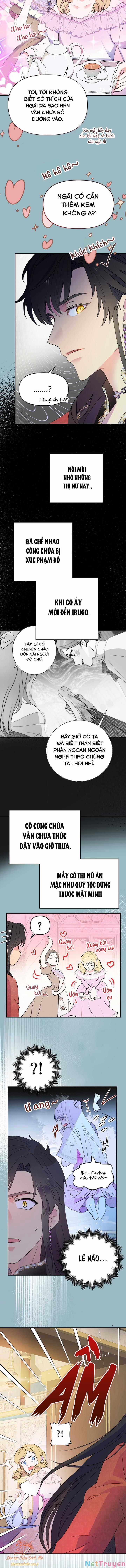 Tiền Là Tất Cả Chồng Là Phù Du 16 trang 8