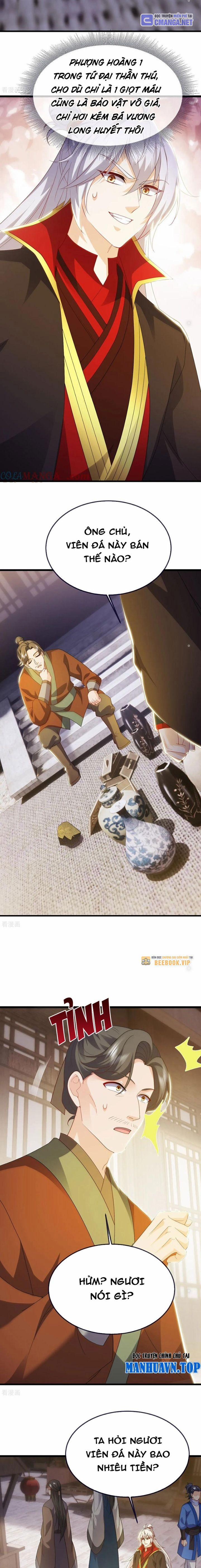 Tiên Võ Đế Tôn 716 trang 13