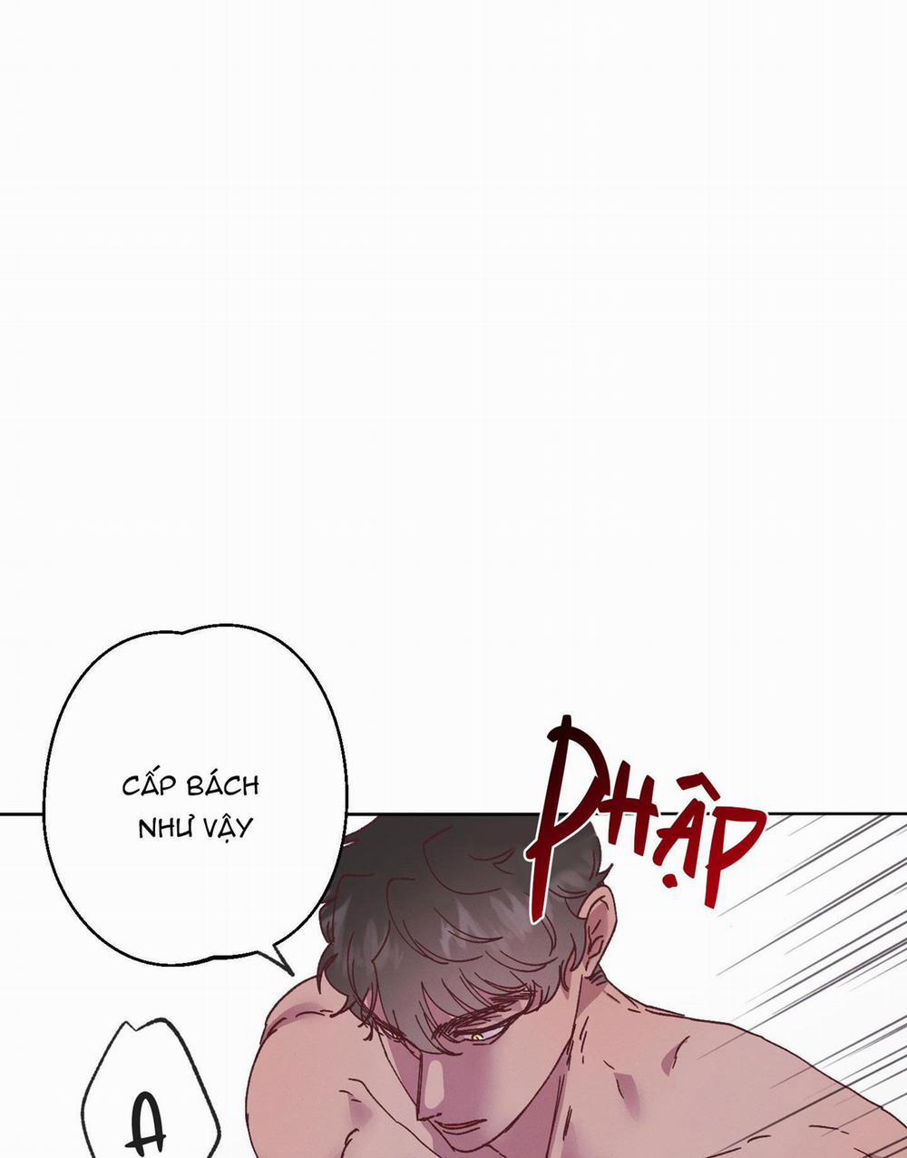 Tiếng Xuân Về 9 trang 25