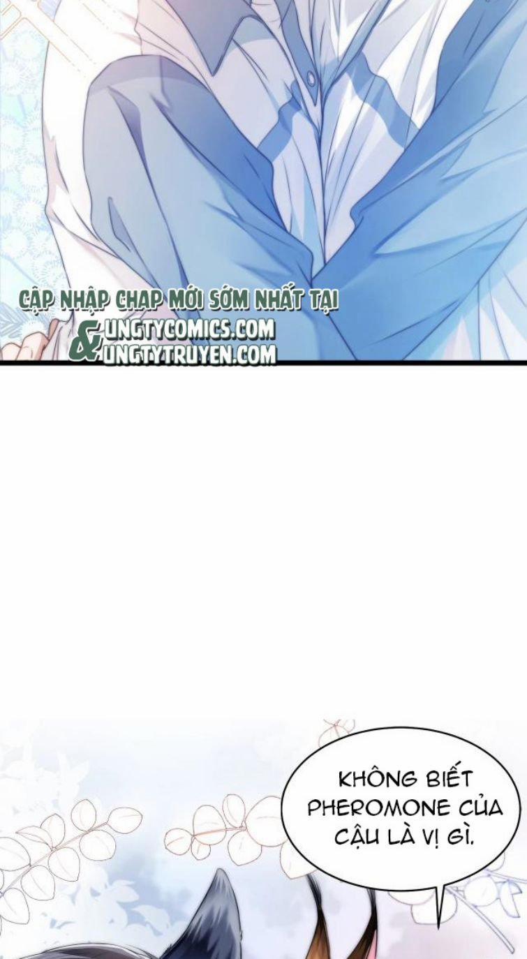 Tiểu Dã Miêu Của Học Bá Thật Trêu Người 1 trang 46