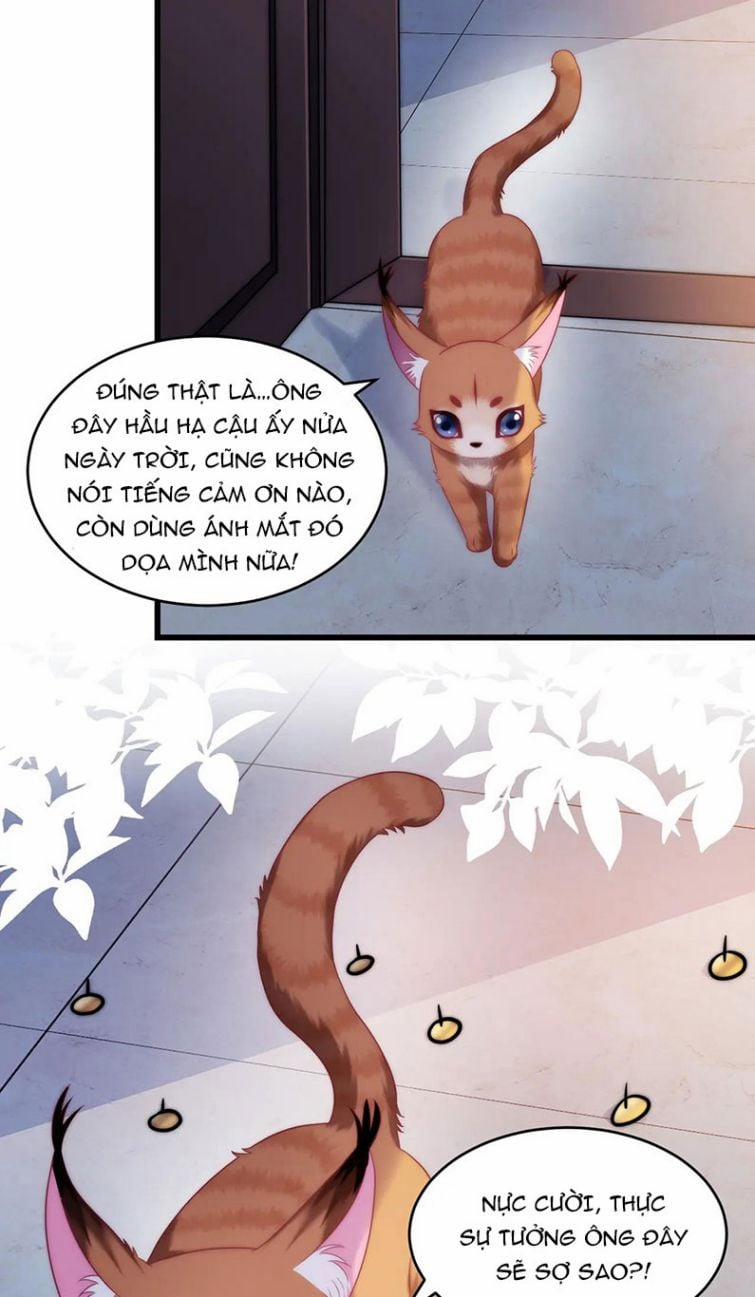 Tiểu Dã Miêu Của Học Bá Thật Trêu Người 16 trang 15