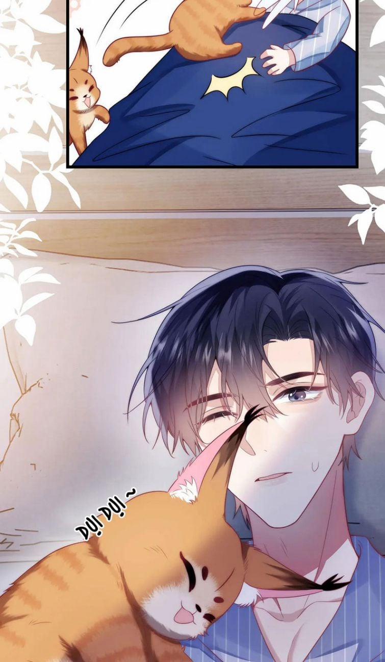 Tiểu Dã Miêu Của Học Bá Thật Trêu Người 16 trang 17