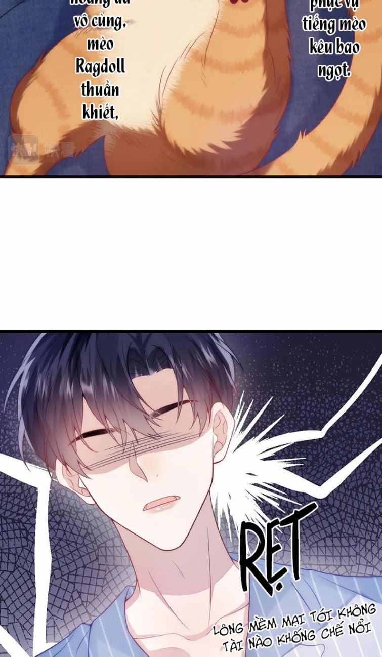 Tiểu Dã Miêu Của Học Bá Thật Trêu Người 16 trang 21