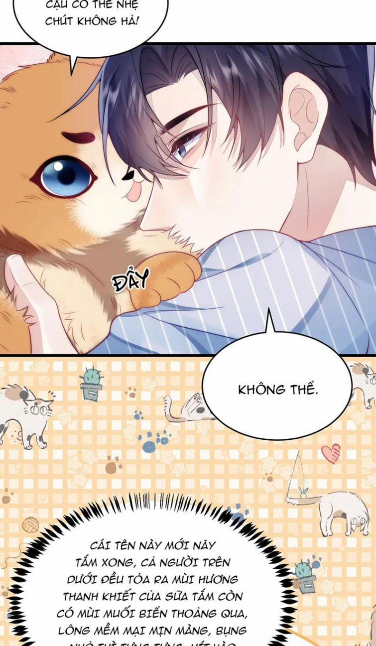 Tiểu Dã Miêu Của Học Bá Thật Trêu Người 16 trang 24