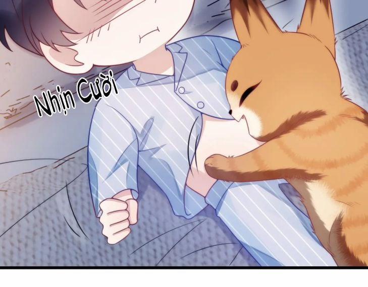 Tiểu Dã Miêu Của Học Bá Thật Trêu Người 17 trang 13