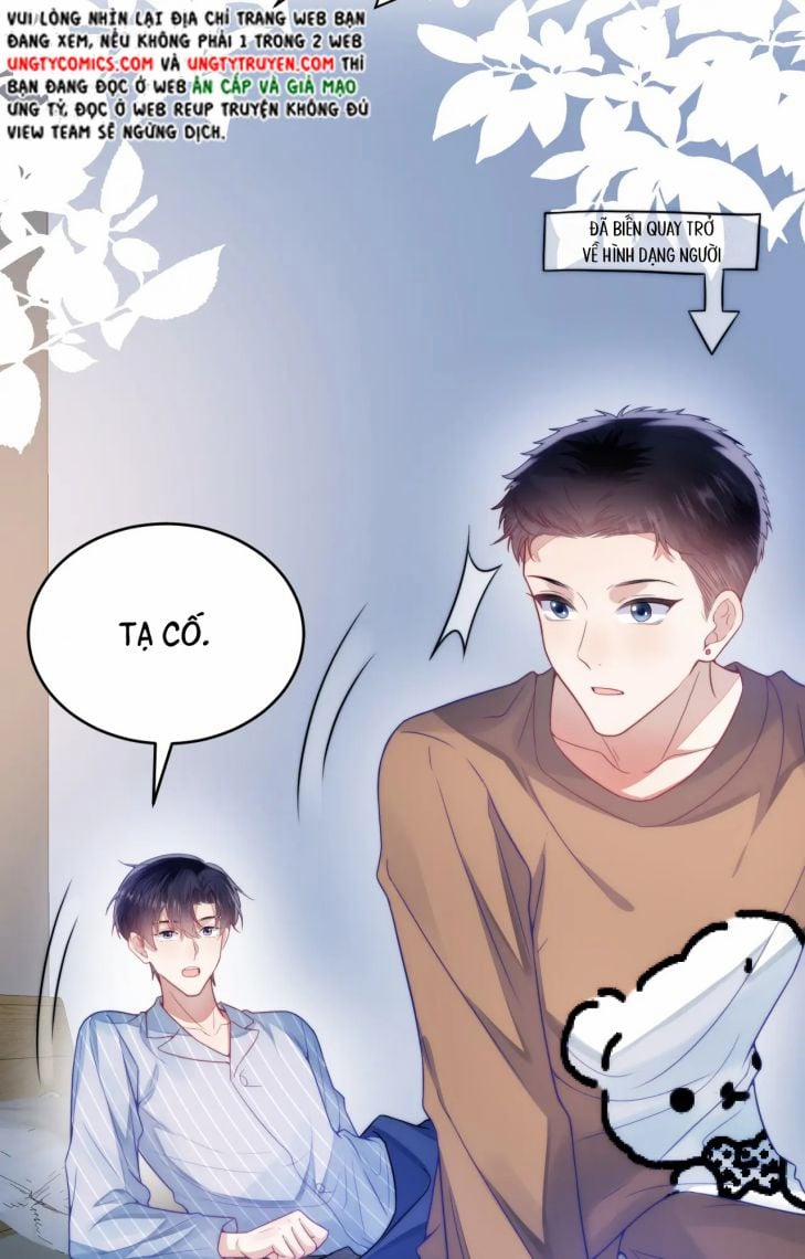 Tiểu Dã Miêu Của Học Bá Thật Trêu Người 17 trang 16