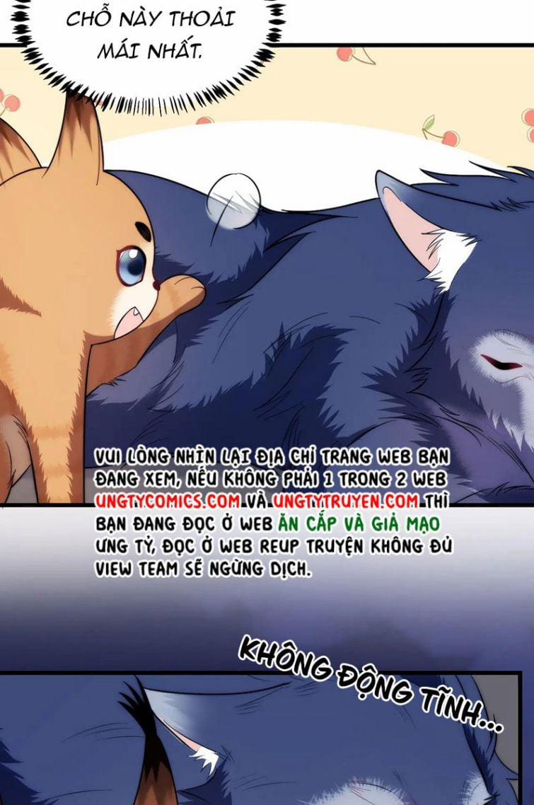 Tiểu Dã Miêu Của Học Bá Thật Trêu Người 18 trang 10