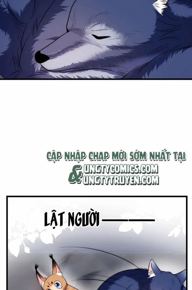 Tiểu Dã Miêu Của Học Bá Thật Trêu Người 18 trang 12