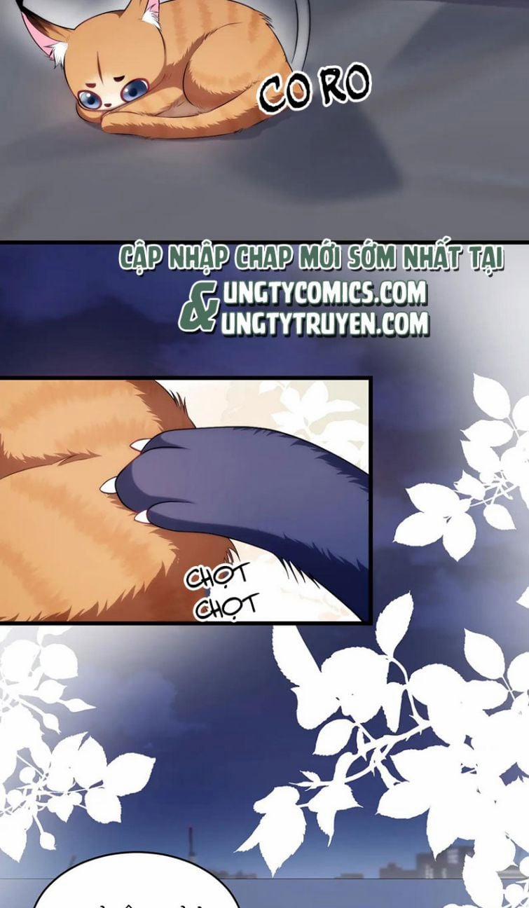Tiểu Dã Miêu Của Học Bá Thật Trêu Người 18 trang 15