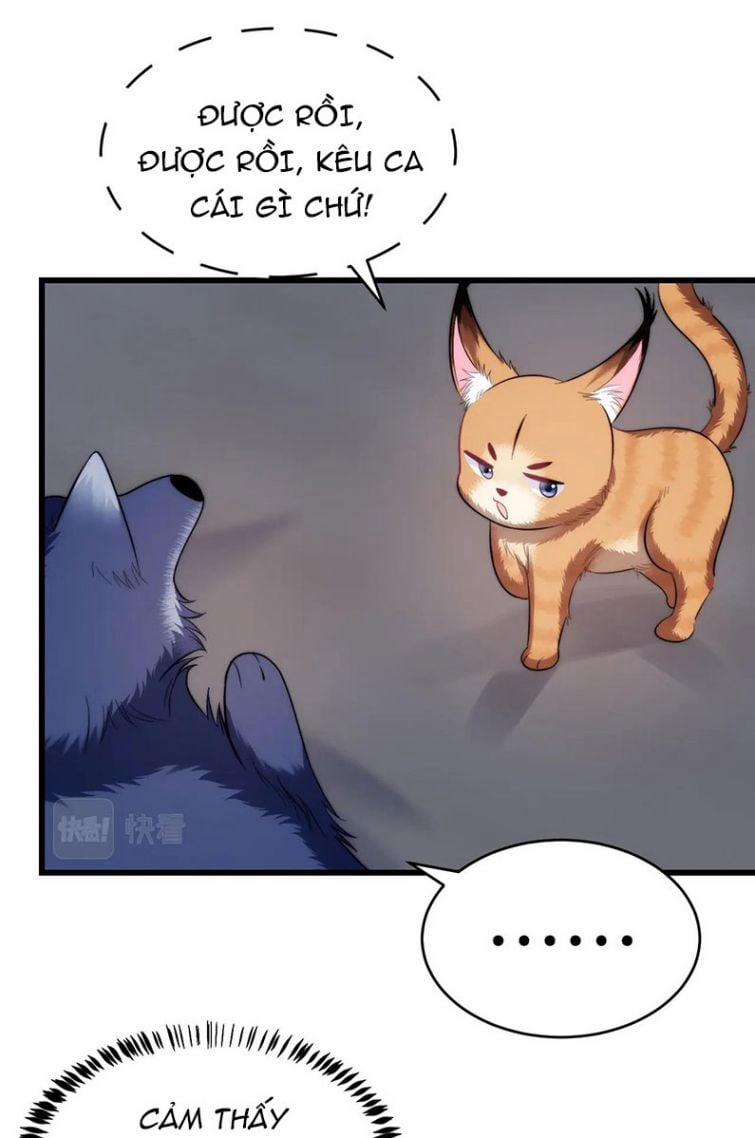 Tiểu Dã Miêu Của Học Bá Thật Trêu Người 18 trang 9