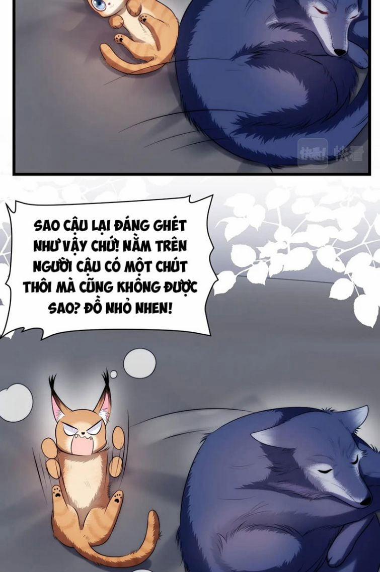Tiểu Dã Miêu Của Học Bá Thật Trêu Người 19 trang 13