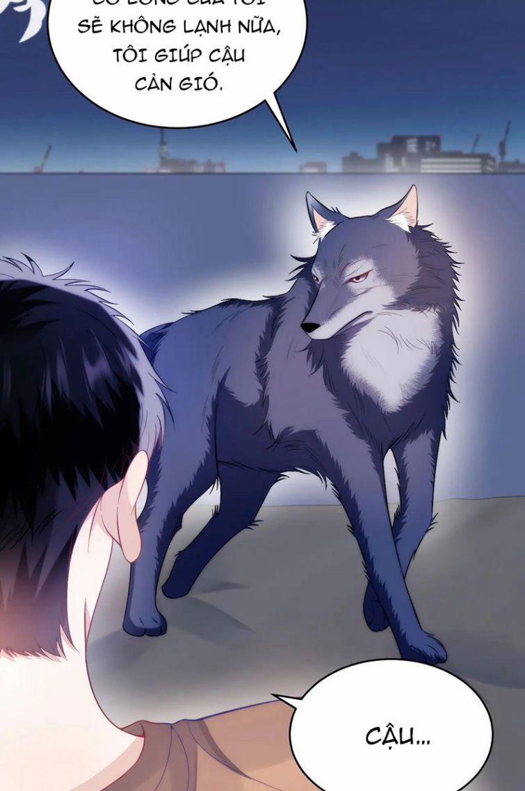 Tiểu Dã Miêu Của Học Bá Thật Trêu Người 19 trang 3
