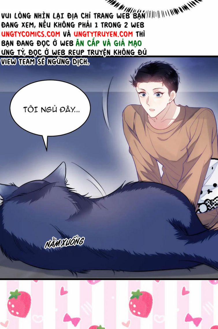 Tiểu Dã Miêu Của Học Bá Thật Trêu Người 19 trang 5