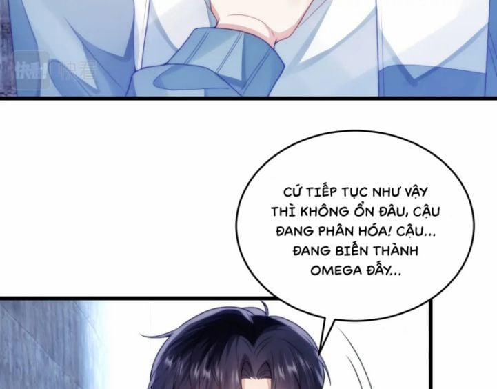 Tiểu Dã Miêu Của Học Bá Thật Trêu Người 24 trang 10