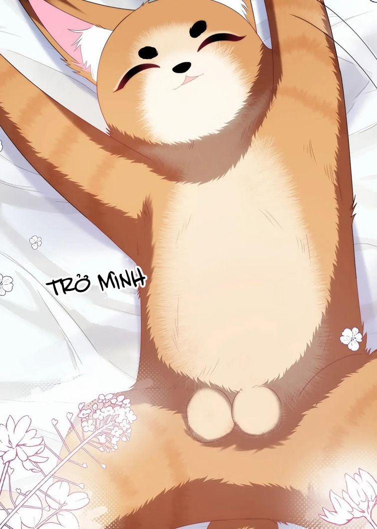 Tiểu Dã Miêu Của Học Bá Thật Trêu Người 28 trang 45
