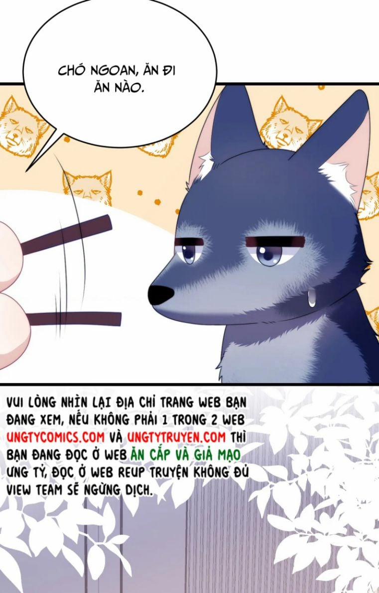 Tiểu Dã Miêu Của Học Bá Thật Trêu Người 32 trang 39