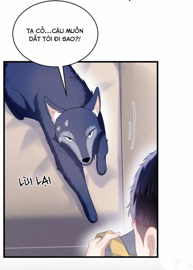 Tiểu Dã Miêu Của Học Bá Thật Trêu Người 33 trang 8