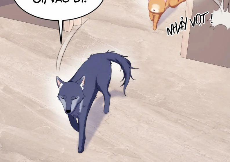 Tiểu Dã Miêu Của Học Bá Thật Trêu Người 35 trang 19