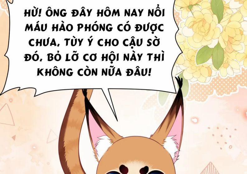 Tiểu Dã Miêu Của Học Bá Thật Trêu Người 35 trang 59