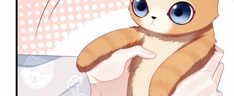 Tiểu Dã Miêu Của Học Bá Thật Trêu Người 35 trang 64