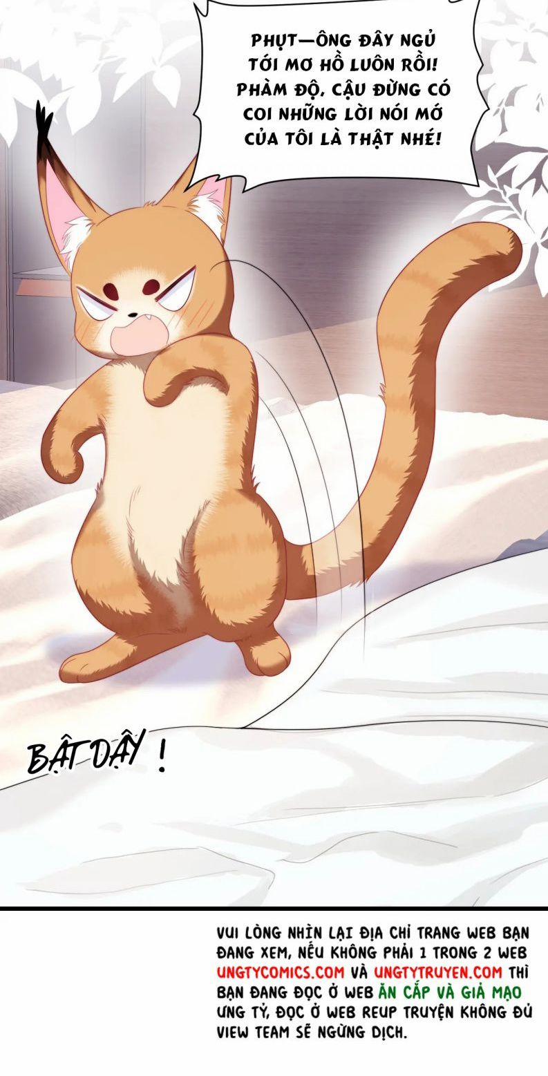 Tiểu Dã Miêu Của Học Bá Thật Trêu Người 35 trang 77