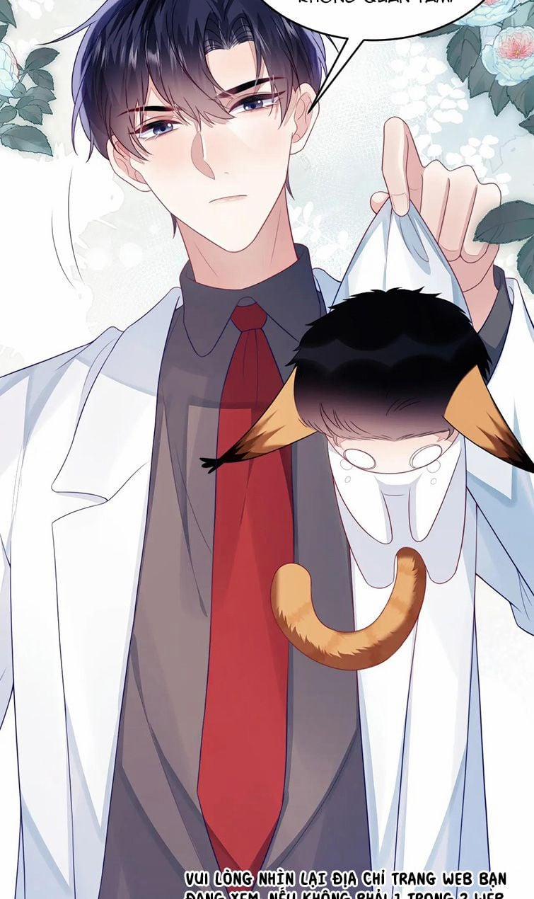 Tiểu Dã Miêu Của Học Bá Thật Trêu Người 41 trang 33