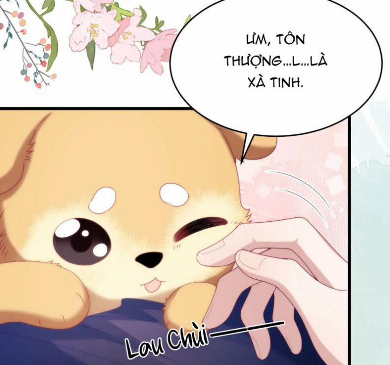 Tiểu Dã Miêu Của Học Bá Thật Trêu Người 47 trang 13