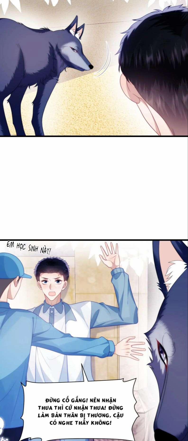 Tiểu Dã Miêu Của Học Bá Thật Trêu Người 50 trang 10