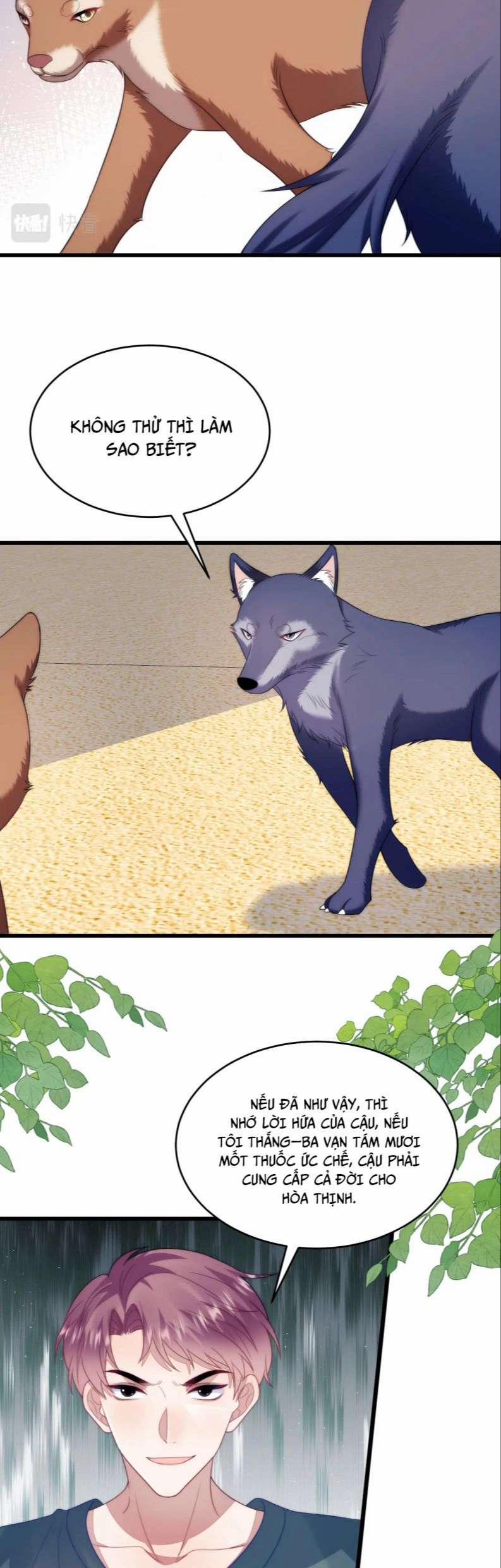 Tiểu Dã Miêu Của Học Bá Thật Trêu Người 50 trang 16