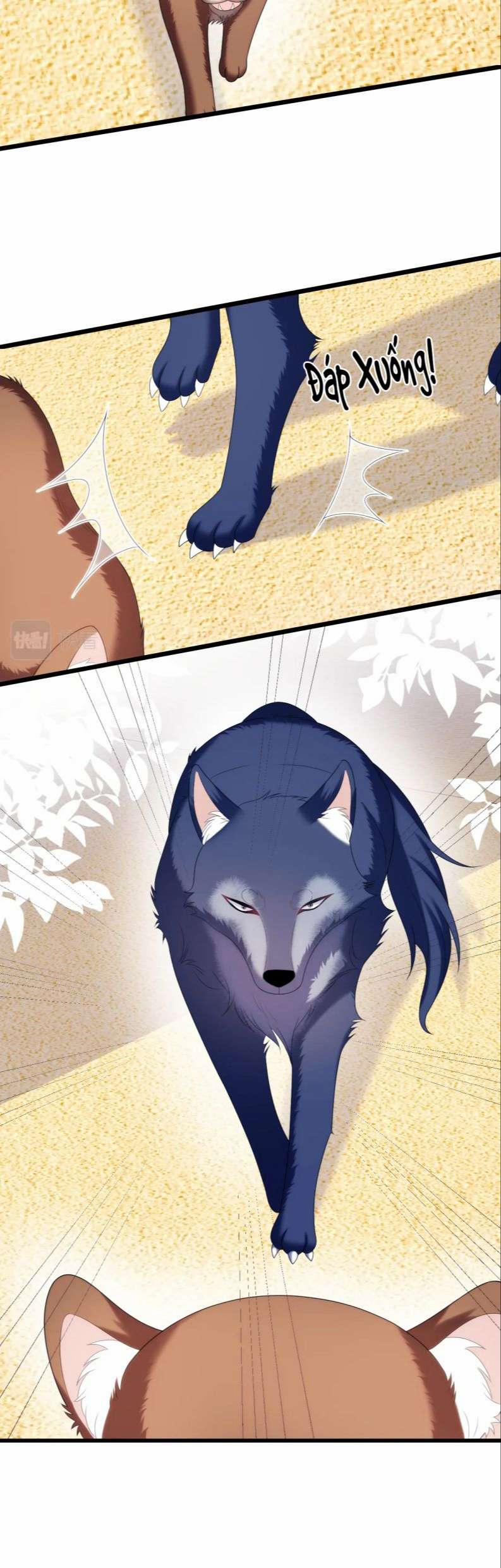 Tiểu Dã Miêu Của Học Bá Thật Trêu Người 50 trang 25