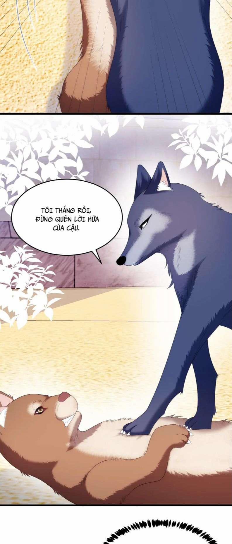 Tiểu Dã Miêu Của Học Bá Thật Trêu Người 50 trang 27