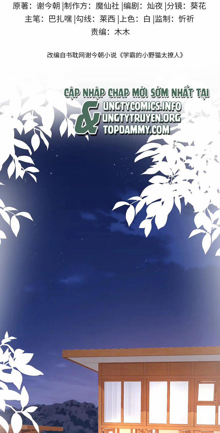 Tiểu Dã Miêu Của Học Bá Thật Trêu Người 64 trang 2