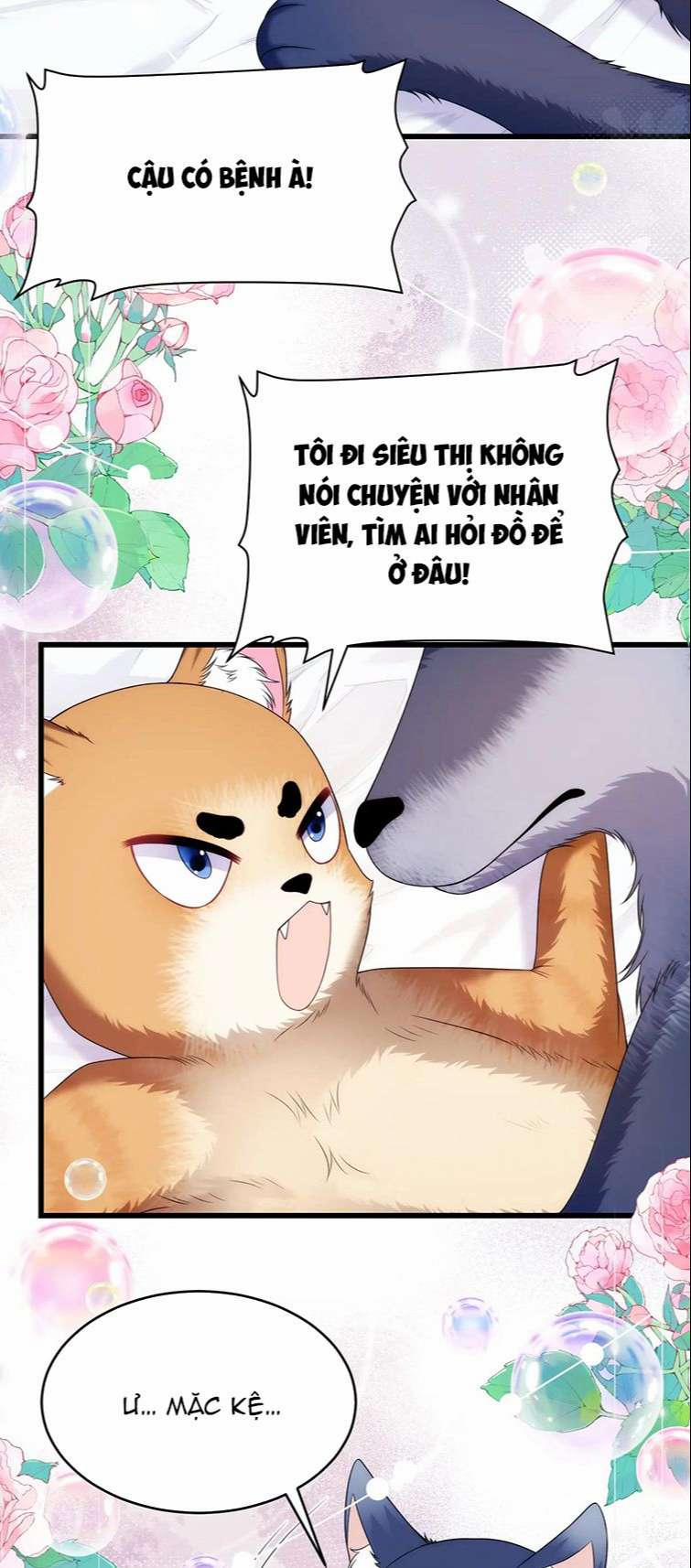 Tiểu Dã Miêu Của Học Bá Thật Trêu Người 70 trang 5