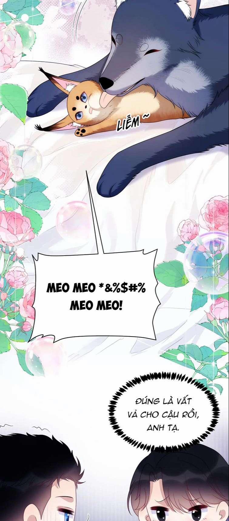 Tiểu Dã Miêu Của Học Bá Thật Trêu Người 70 trang 6