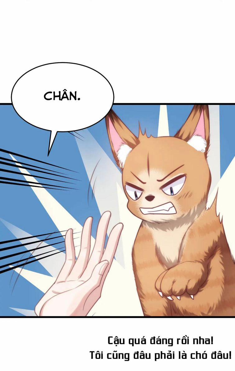 Tiểu Dã Miêu Của Học Bá Thật Trêu Người 9 trang 12